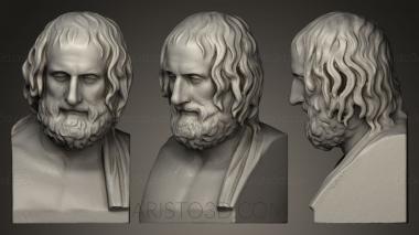 Busts and heads antique and historical (BUSTA_0038) 3D model for CNC machine